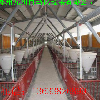 豬場自動(dòng)化料線 豬場自動(dòng)化喂料系統(tǒng)