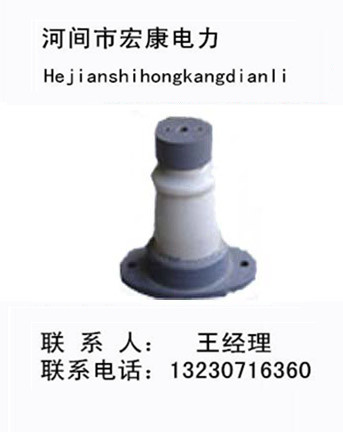 支柱絕緣子圖片/支柱絕緣子樣板圖 (2)