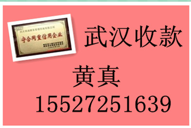 武漢商賬財務(wù)債務(wù)清欠咨詢圖片/武漢商賬財務(wù)債務(wù)清欠咨詢樣板圖 (1)