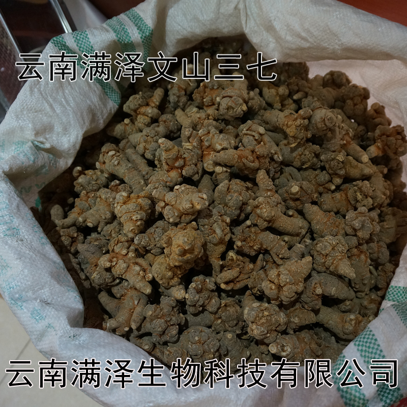 今日?qǐng)D片/今日樣板圖 (4)