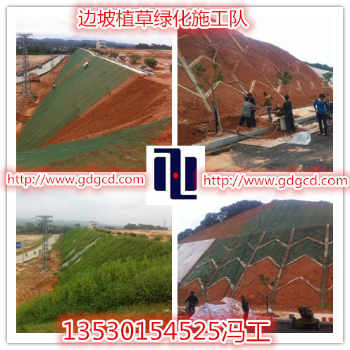 邊坡防護(hù)網(wǎng)圖片/邊坡防護(hù)網(wǎng)樣板圖 (2)