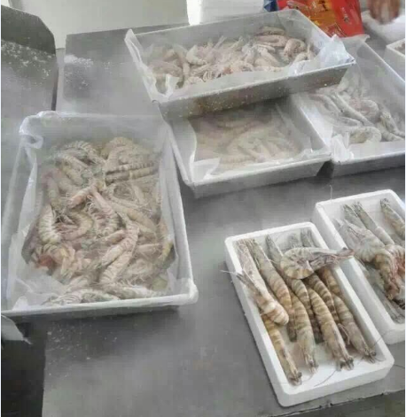 液氮速凍設(shè)備圖片/液氮速凍設(shè)備樣板圖 (4)