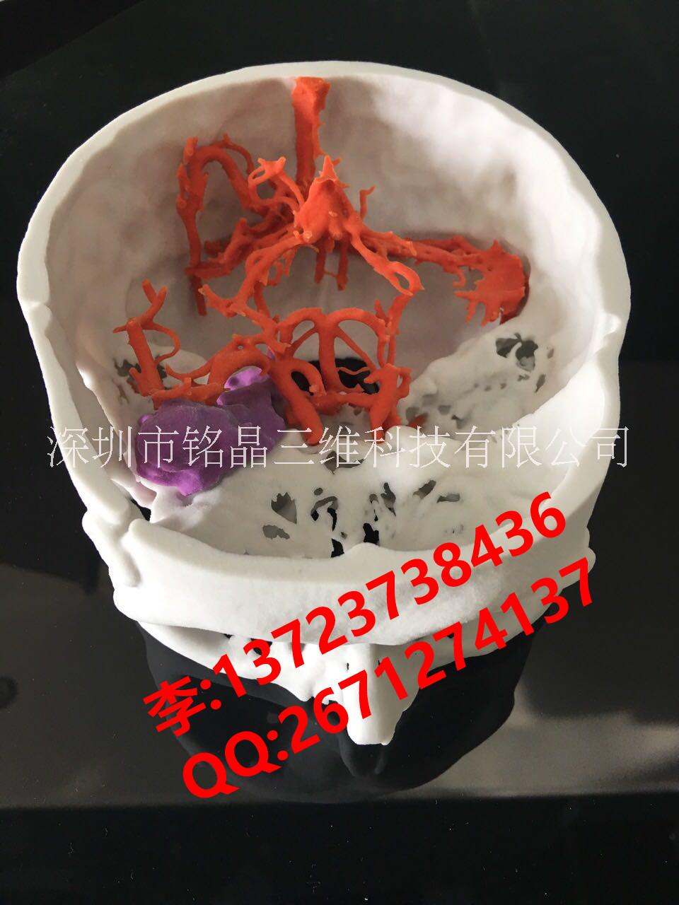 教學(xué)模型圖片/教學(xué)模型樣板圖 (1)