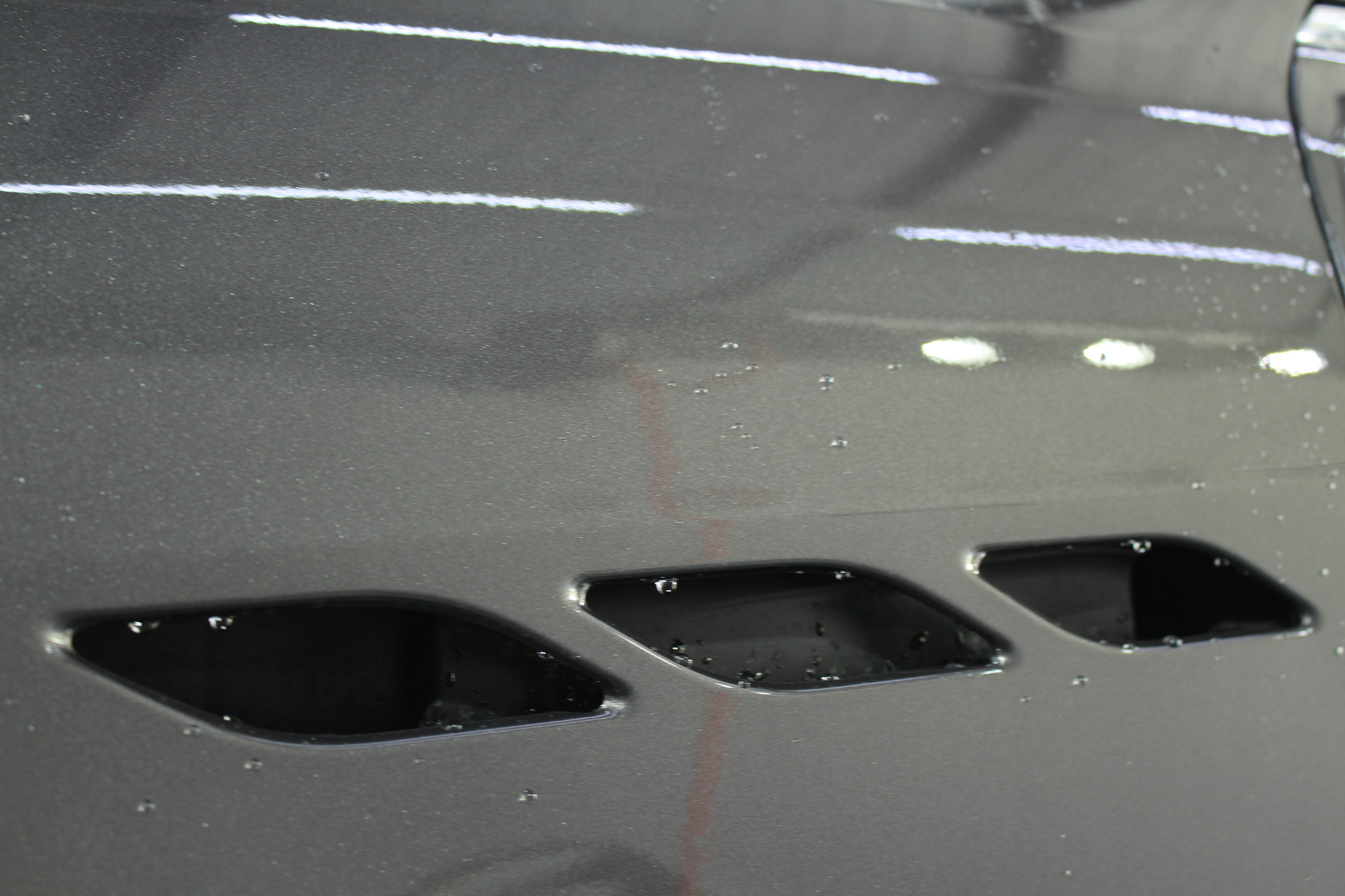 隱形車衣圖片/隱形車衣樣板圖 (3)