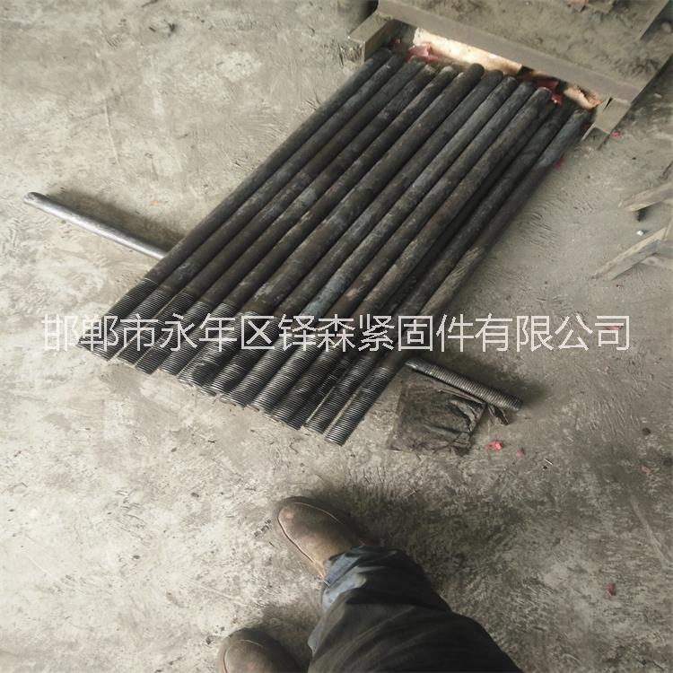 熱鍍鋅地腳螺栓圖片/熱鍍鋅地腳螺栓樣板圖 (3)