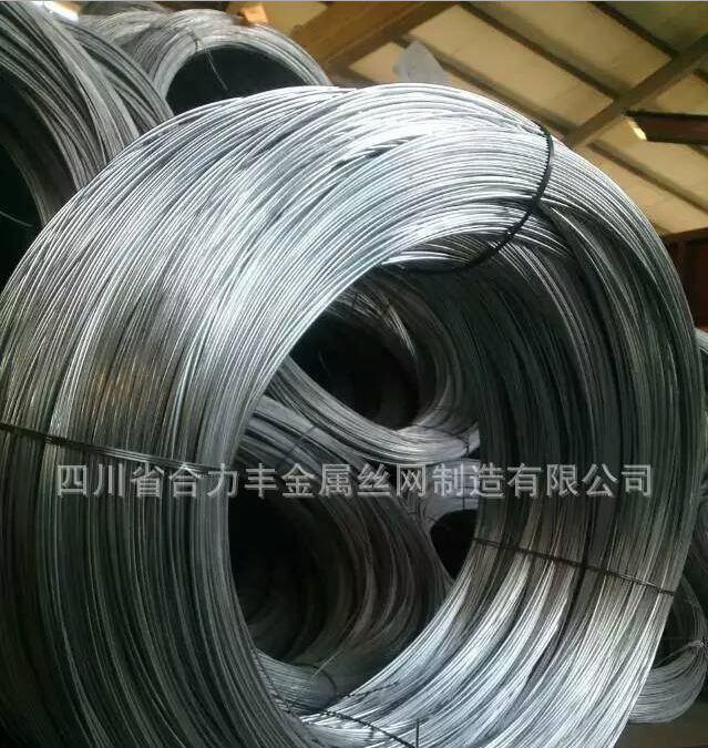 鋼絲成都圖片/鋼絲成都樣板圖 (4)