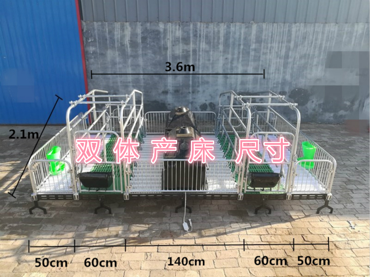 养猪 养猪设备母猪产床双体加厚产床复合漏粪板母猪产后分娩床自动化
