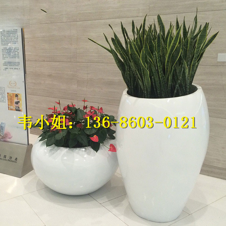 玻璃纖維花盆圖片/玻璃纖維花盆樣板圖 (3)