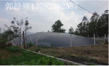 衛(wèi)輝哪做養(yǎng)豬場黑膜沼氣池