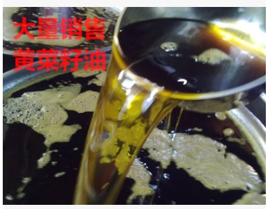 菜籽油圖片/菜籽油樣板圖 (2)