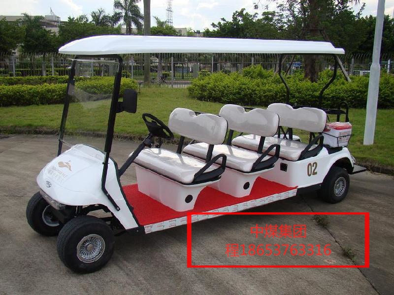電動車圖片/電動車樣板圖 (2)