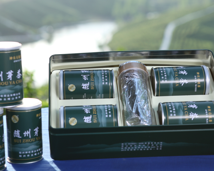 2017年有機綠茶 春芽茶 芽頭圖片/2017年有機綠茶 春芽茶 芽頭樣板圖 (3)