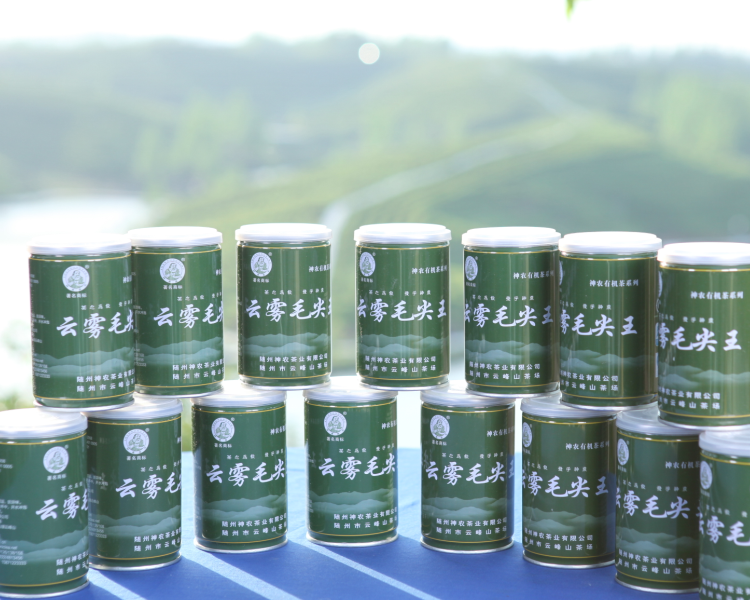 新茶上市 色泽绿润的毛尖茶 湖北绿茶 大洪山茶叶图片