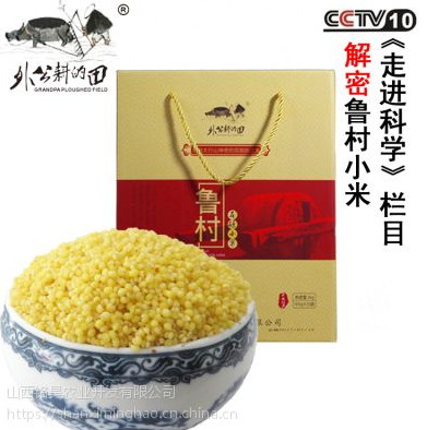 小米圖片/小米樣板圖 (1)