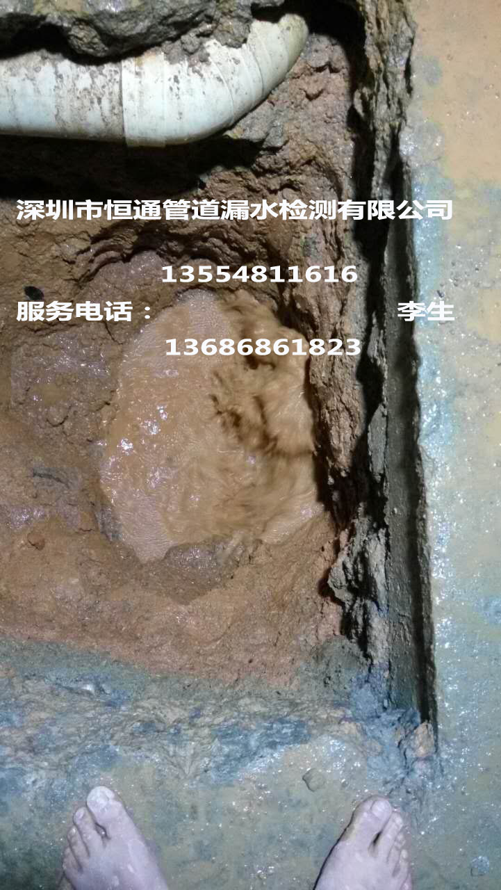 管道漏水檢測(cè)、消防管漏水探測(cè)、供水管網(wǎng)查漏、普查