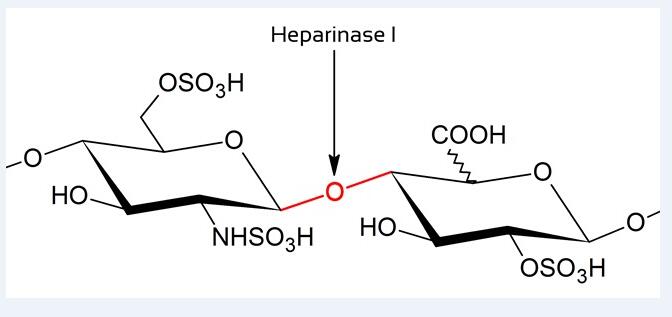 供应肝素酶I（heparinase I）图片