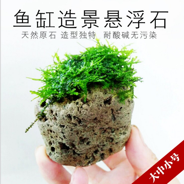 山東濱州水族造景懸浮石聯(lián)系方式阿凡達(dá)懸浮石批發(fā)價(jià)格
