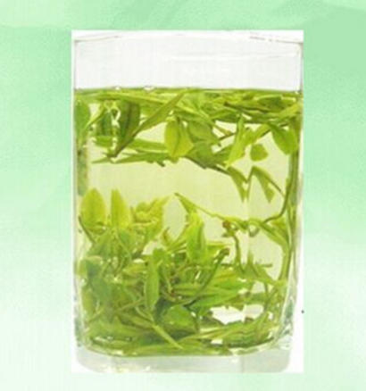 綠茶圖片/綠茶樣板圖 (3)