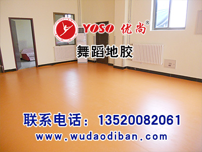 舞蹈地板圖片/舞蹈地板樣板圖 (3)