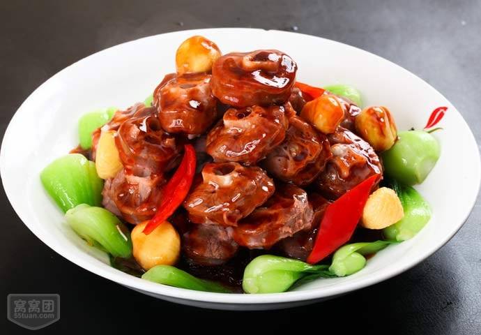 鴕鳥養(yǎng)殖合作社 鴕鳥養(yǎng)殖基地