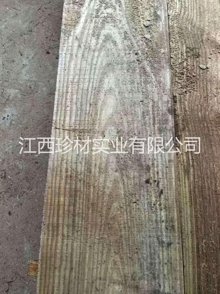 荷木圖片/荷木樣板圖 (3)