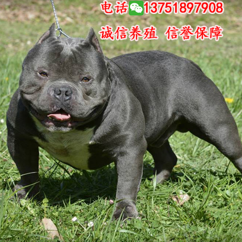 深圳哪里有圖片/深圳哪里有樣板圖 (2)