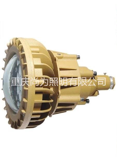 SW7150防爆LED泛光燈圖片/SW7150防爆LED泛光燈樣板圖 (2)