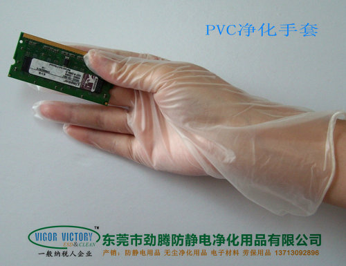 PVC手套圖片/PVC手套樣板圖 (2)