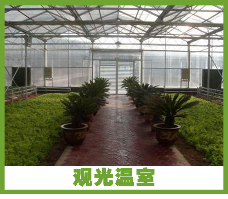 觀光溫室圖片/觀光溫室樣板圖 (4)
