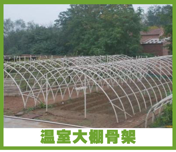 河北溫室大棚圖片/河北溫室大棚樣板圖 (2)