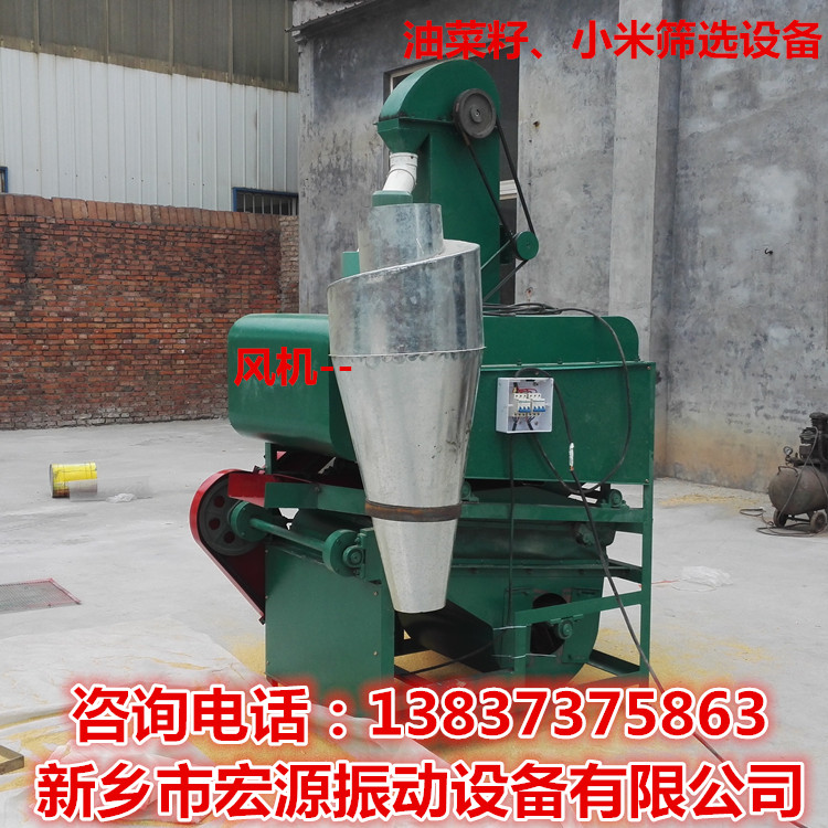 油菜籽圖片/油菜籽樣板圖 (3)