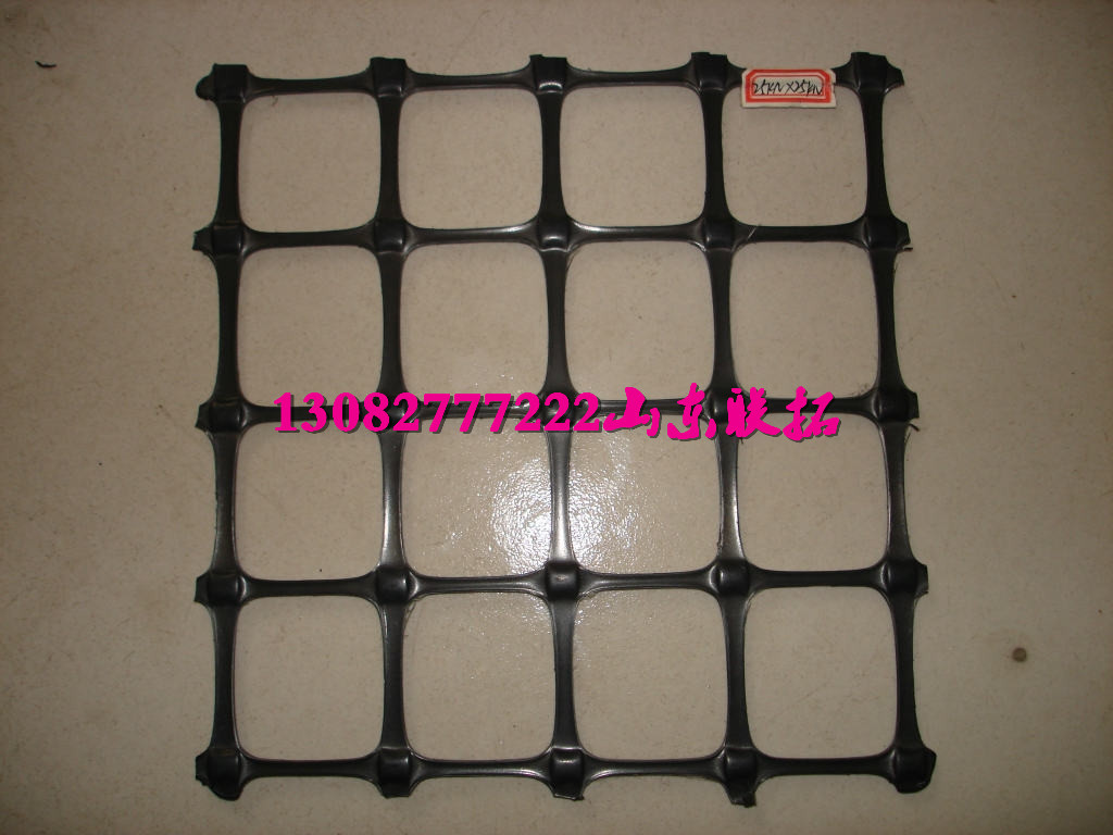 土工格柵圖片/土工格柵樣板圖 (2)