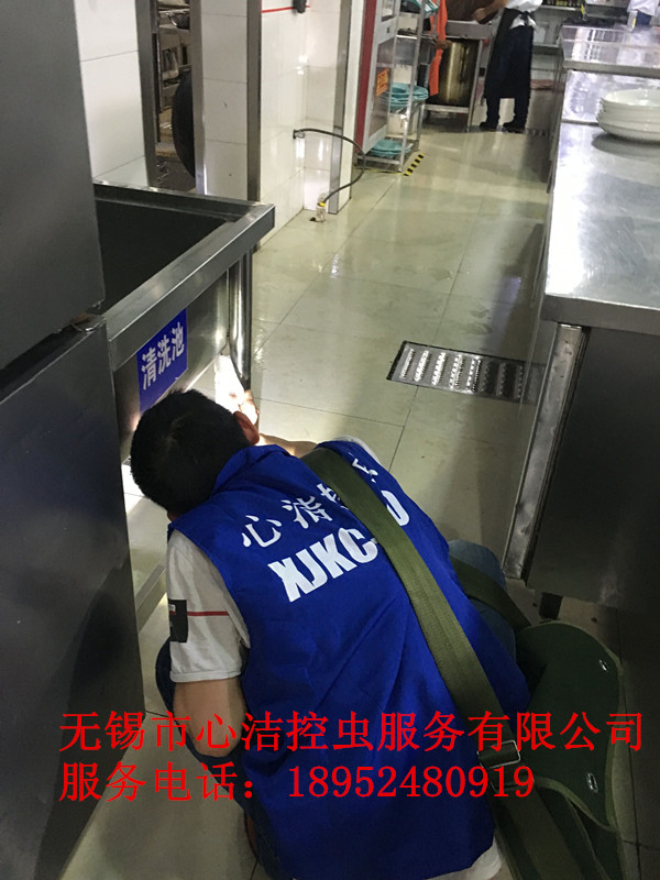 滅鼠公司圖片/滅鼠公司樣板圖 (2)