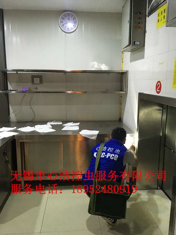 江陰滅鼠公司--心潔控蟲服務(wù)有限圖片