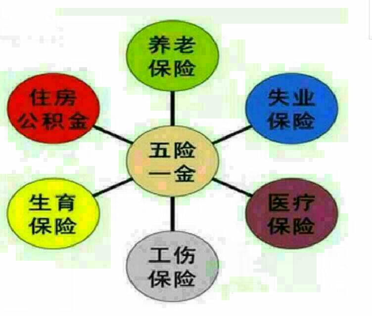 雇工保工伤加意外保险企业的护身符