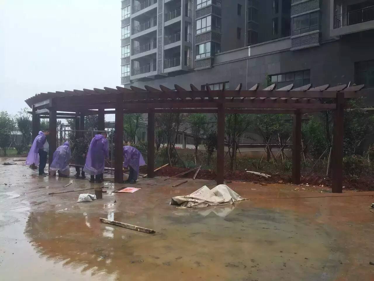 防腐木花架圖片/防腐木花架樣板圖 (2)