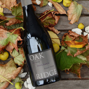 美國(guó)豪客莊園黑皮諾紅葡萄酒圖片/美國(guó)豪客莊園黑皮諾紅葡萄酒樣板圖 (2)