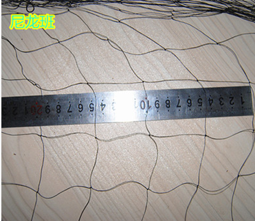 尼龍防鳥網(wǎng)圖片