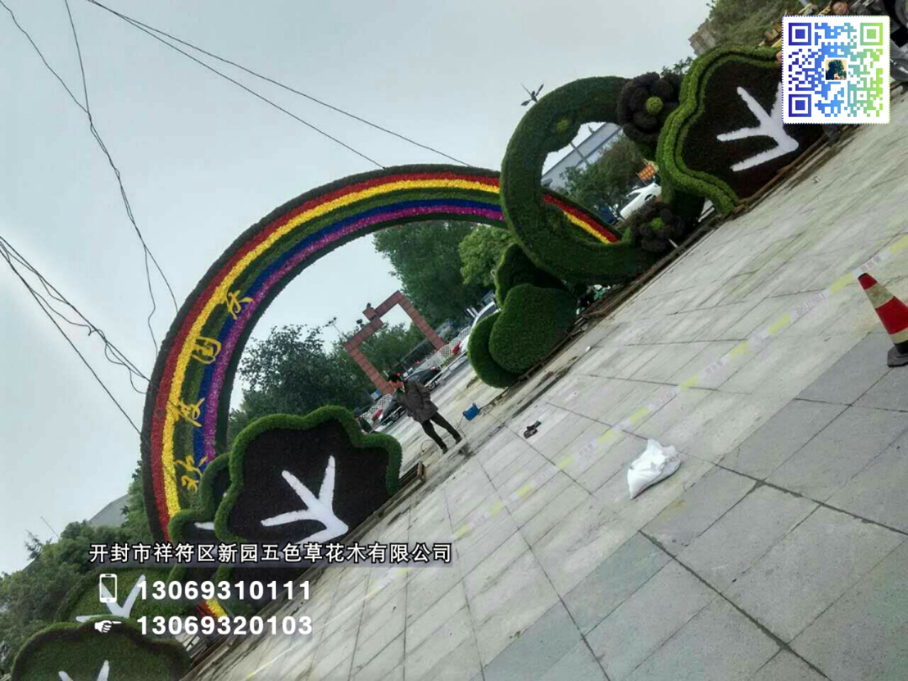 五色草圖片/五色草樣板圖 (1)