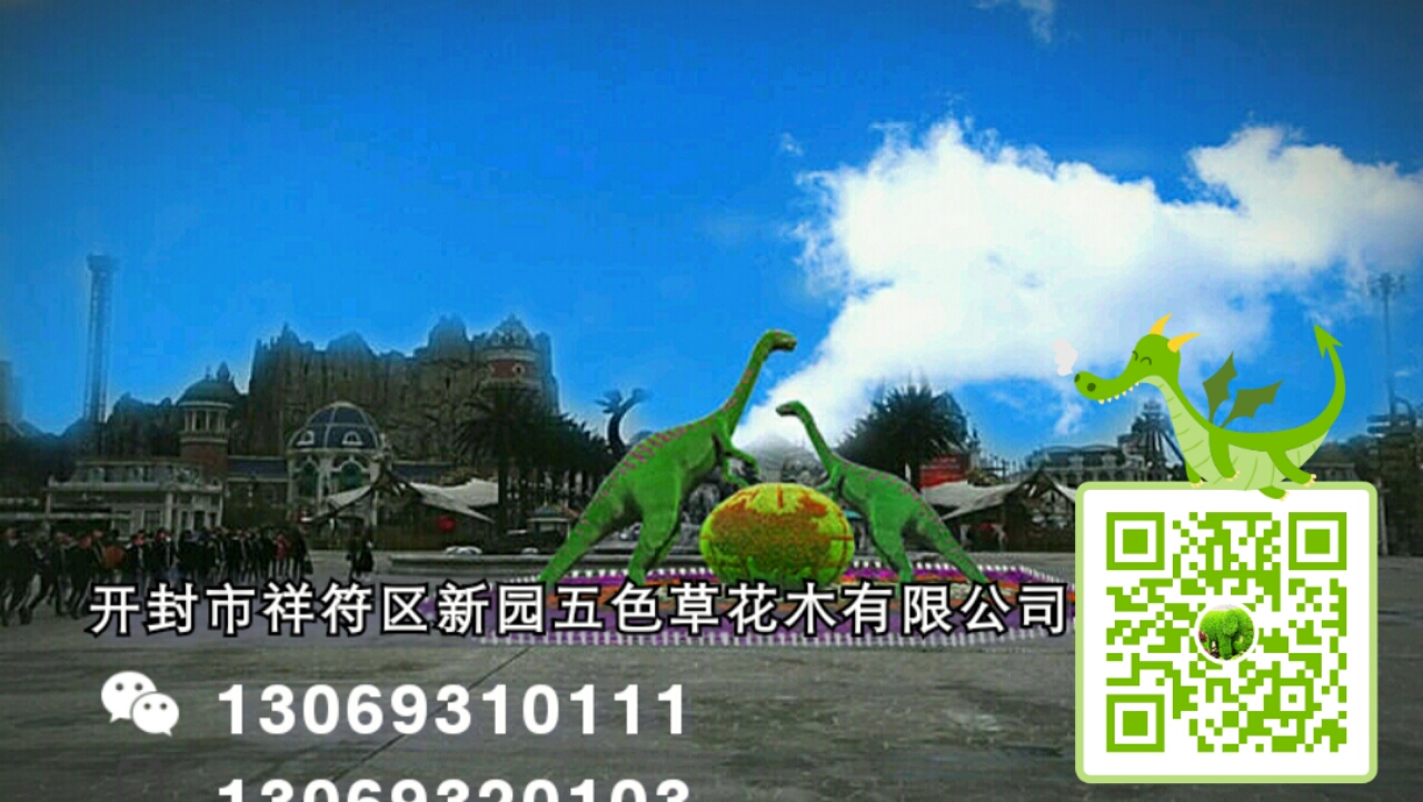 五色草圖片/五色草樣板圖 (1)