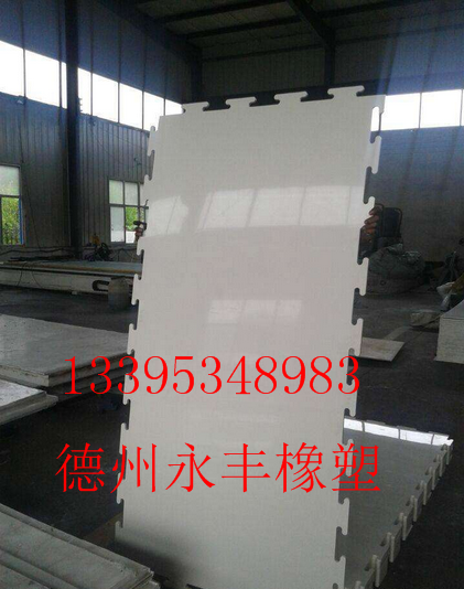 高分子量聚乙烯板材圖片/高分子量聚乙烯板材樣板圖 (3)