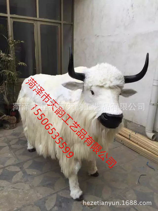 仿真動(dòng)物圖片/仿真動(dòng)物樣板圖 (3)
