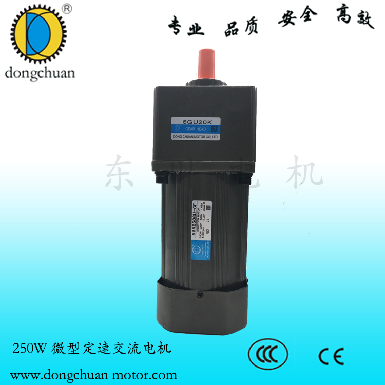 供應(yīng)250W定速電機(jī)，東川定速電機(jī)，東川6W-250W定速電機(jī) 深圳東川廠家直銷250W定速電機(jī)