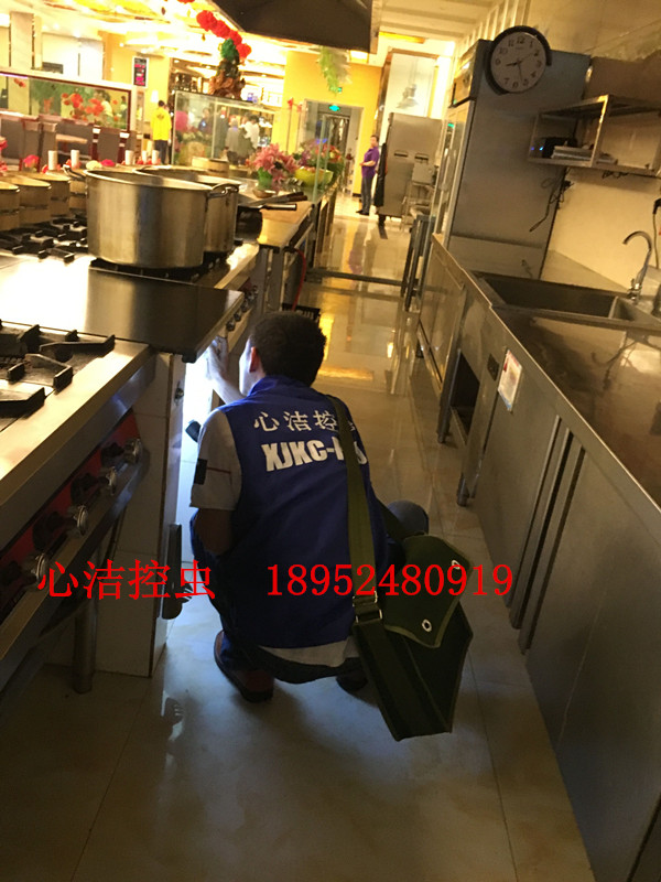 滅鼠公司圖片/滅鼠公司樣板圖 (1)