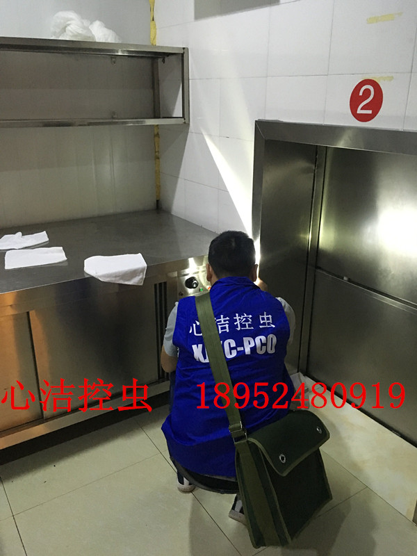 滅鼠公司圖片/滅鼠公司樣板圖 (2)