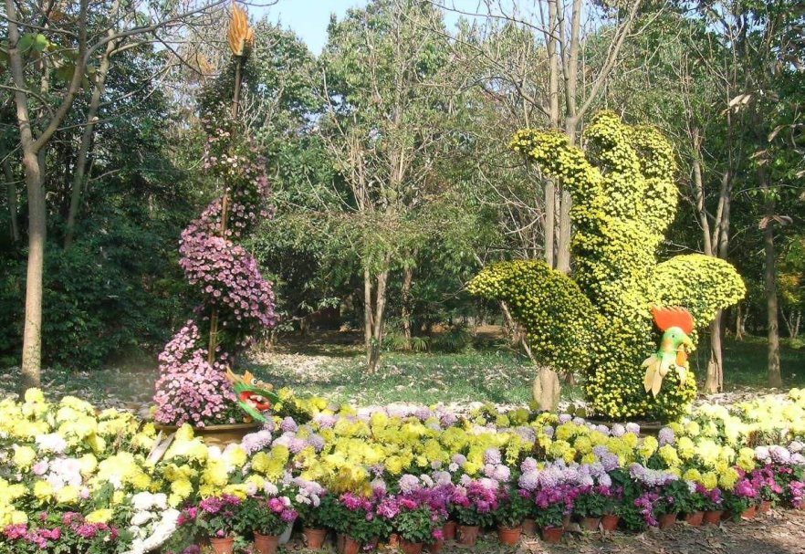 藝菊造型圖片/藝菊造型樣板圖 (1)