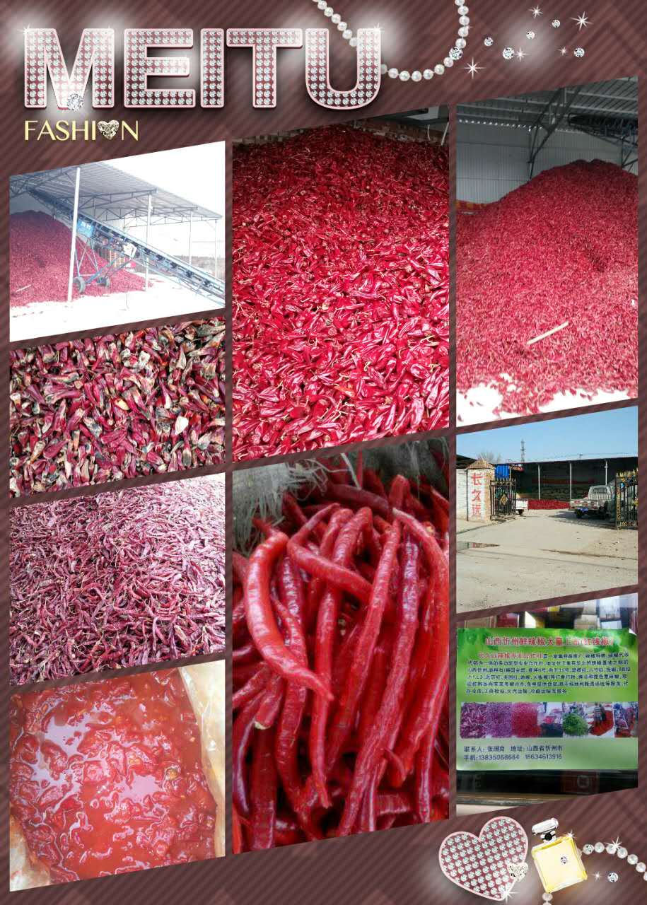 辣椒醬圖片/辣椒醬樣板圖 (3)