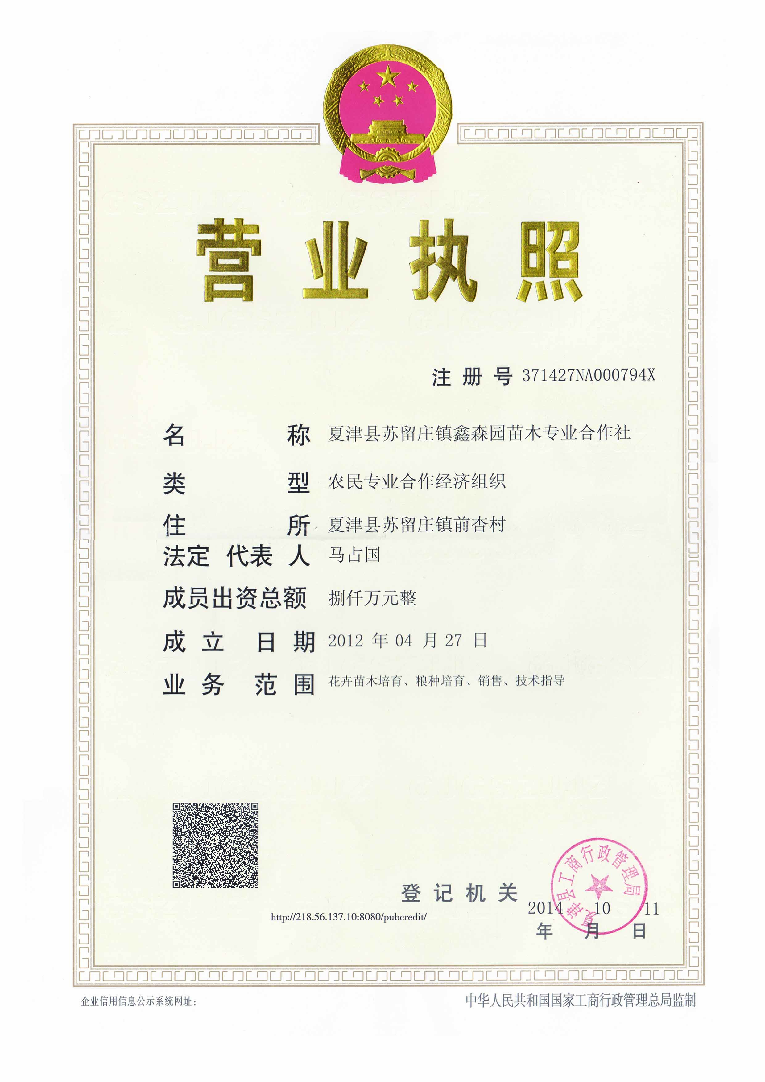 美國(guó)竹柳圖片/美國(guó)竹柳樣板圖 (2)