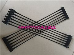 安徽單向塑料土工格柵圖片