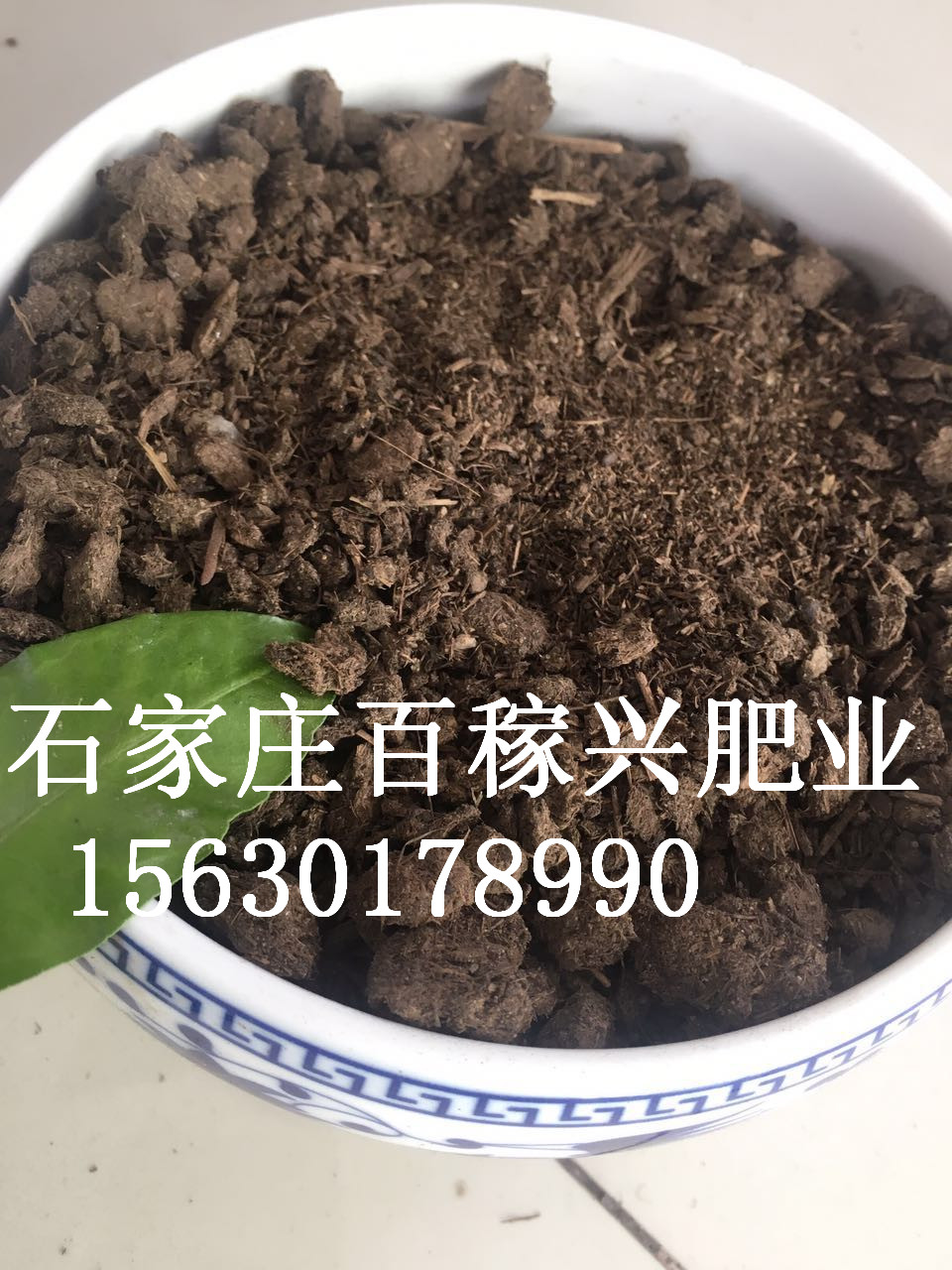 發(fā)酵牛糞圖片/發(fā)酵牛糞樣板圖 (1)